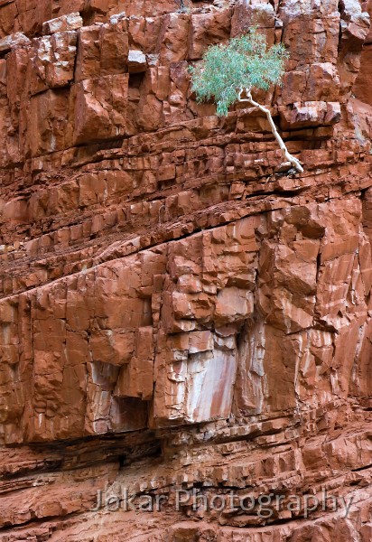 Ormiston Gorge_20070913_091.jpg